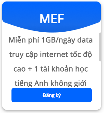 MEF